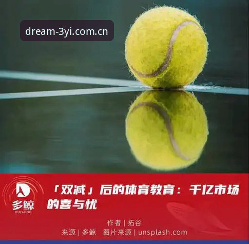 揭秘三亿体育平台移动端战略：三亿app无线下载官方下载背后的体验进化逻辑